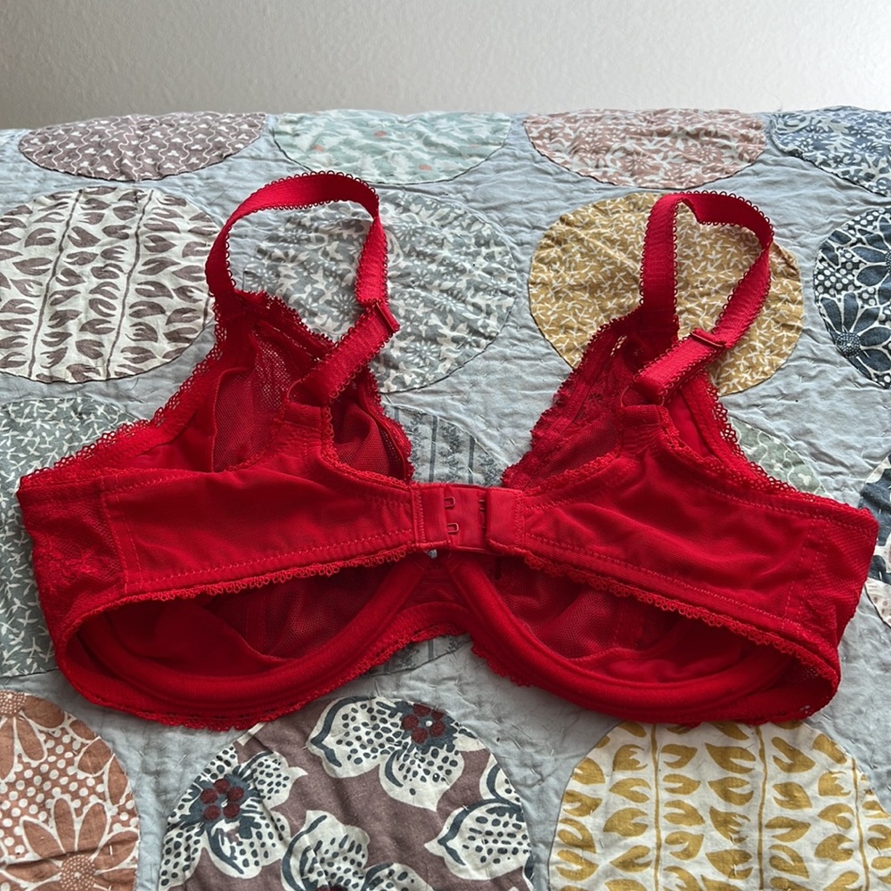 Whimsy bra - Picture 4 of 6